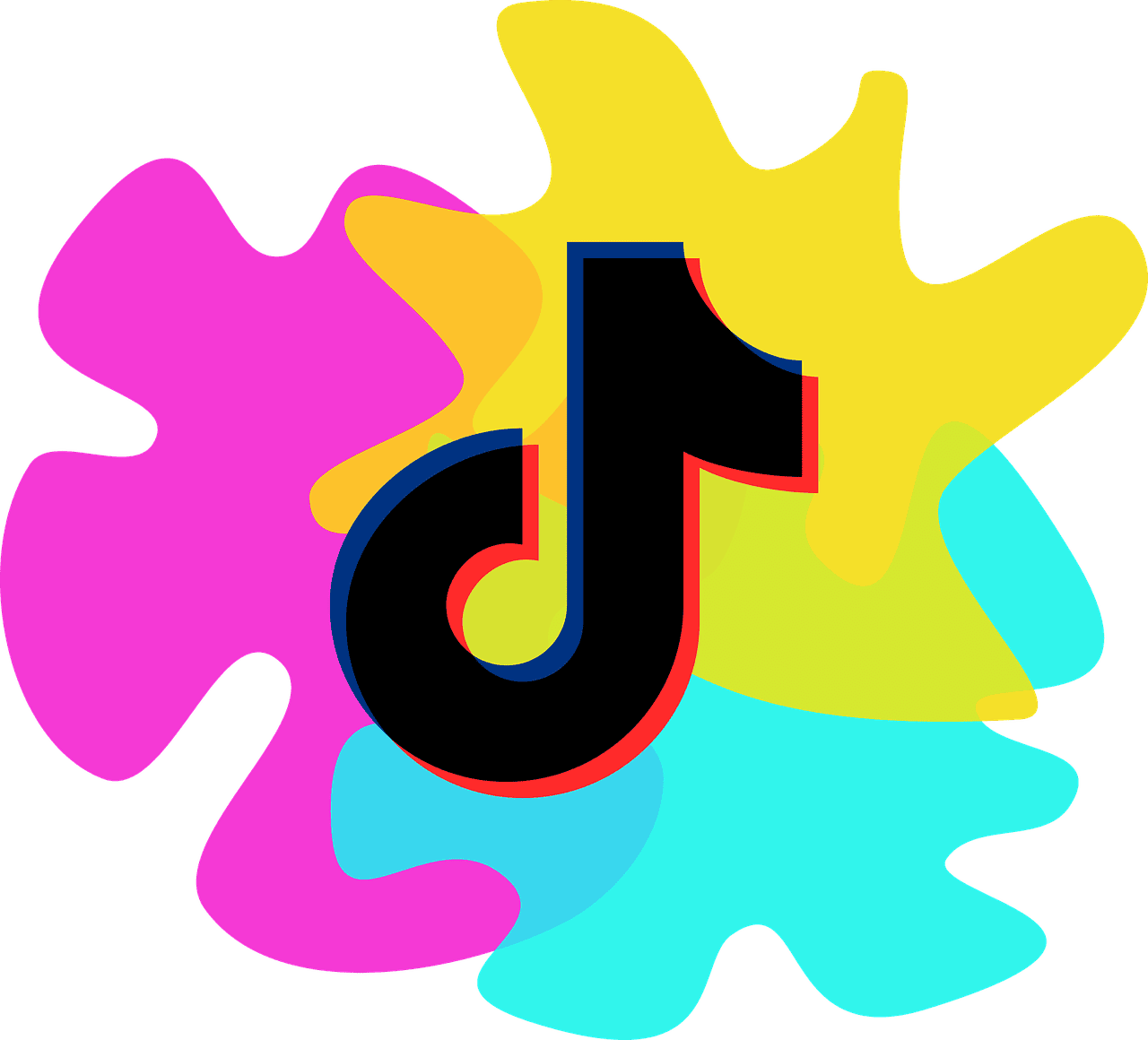 TikTok Influencer Marketing